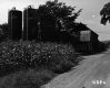 Bigelow Property Dairy Farm with Crops in Front