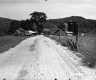 Bigelow Property Farm and Silos