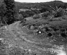Bigelow Property Path with Log Pile