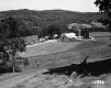 Bigelow Property Farm and Cows