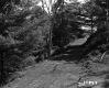 Bigelow Property Path Up Hill