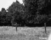 Bigelow Property Wire Fence Across Meadow