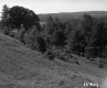 Bigelow Property View Down Hill with Trees