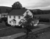 Donald Ross House Deciduous Tree Centered