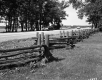 Sand Bar Recreation Area Two Cars on Road