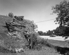 Split Rail Fence Car Center Right