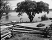 Split Rail Fence in Foreground with Lake in Background