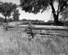 Split Rail Fence in Foreground with Barn in Background
