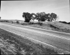 Split Rail Fence Next to Road
