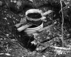 Edwards + Westphal Springs Spring