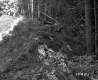 Excavated Ravine Edwards + Westphal Springs