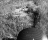 Drainage Pipe Edwards + Westphal Springs