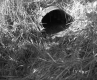 Under Drain Near Interstate 91