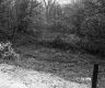 South View of Wooden Pole Next to Route 14