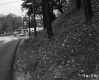 Doyle Property, View of Shell Station