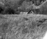 De Coste's Property Looking Westerly