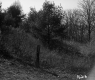 De Coste's Property Looking Southwesterly