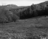 Winchell's Property Looking Easterly