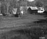 Winchell's Property Looking Northeasterly