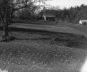 Young's Property