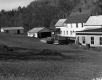 Young's Property Looking Westerly