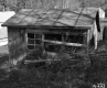 Young's Property