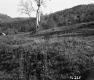 Young's Property Looking Easterly