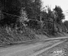 Doyle's Property