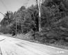 Doyle's Property