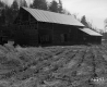 Corwin's Property Looking Southerly
