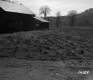 Corwin's Property Looking Southeasterly