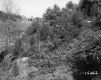 Corwin's Property During the Spring