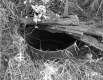Corwin's Property