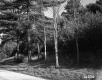 Corwin's Property Looking Southeasterly