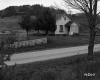 Weber's Property Looking Northerly