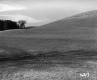 Slater's Property Looking Northerly