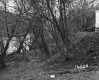 Smith Property, View of White River