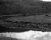 Eaton's Property Looking Southerly
