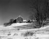 Farm near Maple Corners