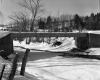 Concrete Bridge over Wild Branch
