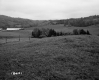 Boudreau Property, Rolling Farm Fields