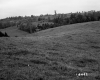 Boudreau Property, Rolling Farm Fields