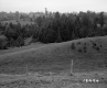 Boudreau Property, Rolling Fields