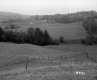 Boudreau Property, Rolling Farm Fields