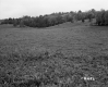 Boudreau Property, Rolling Farm Fields