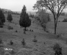 Boudreau Property, Rolling Farm Fields