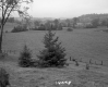 Boudreau Property, Rolling Farm Fields