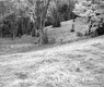 Boudreau Property, Field and Forest