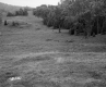 Boudreau Property, Rolling Field and Forest
