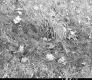 Slope Erosion on Route 14